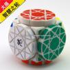 <Free Shipping>DaYan puzzle Wheels of Wisdom White