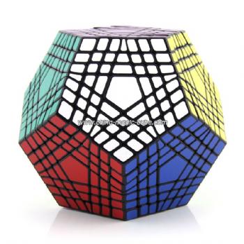 Shengshou Teraminx Black Magic Cube  Puzzle 